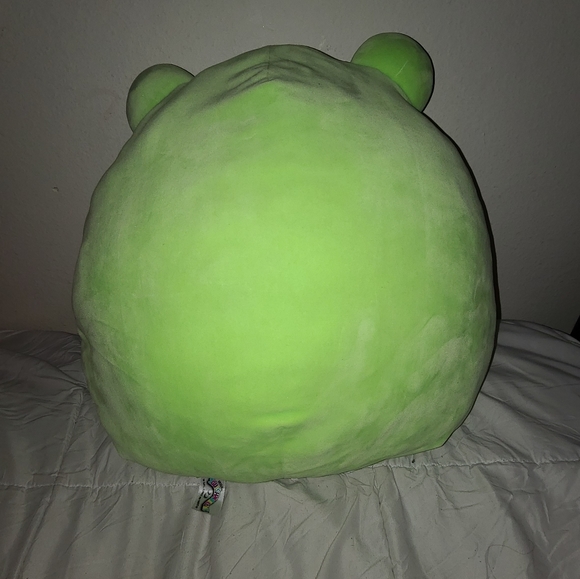 Wendy the Frog Squishmallow - Picture 2 of 3